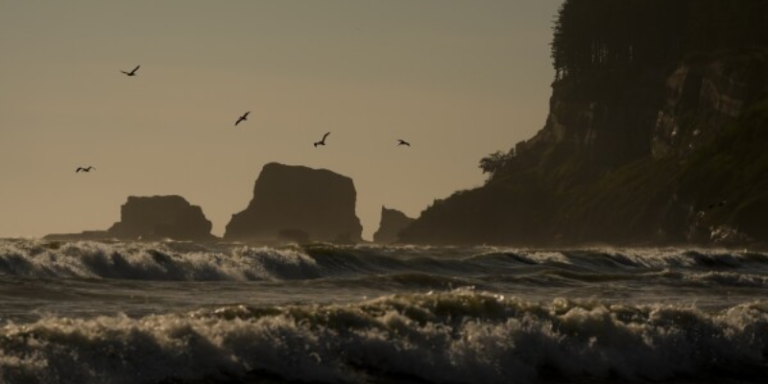 Labyrinthine Straits and Sounds of the Northwest Coast: Confronting the Impacts of Climate Change